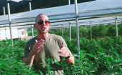Collie Buddz and Busy Signal - Spark Up 