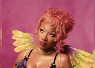 Megan Thee Stallion - Lover Girl (Dj Oio Mistletoe X-Mas Break Edit) (DJ Glenn V Edit)