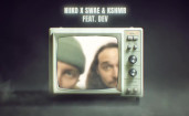 NIIKO & SWAE, KSHMR, Dev - Bass Down Low (Lyrical)