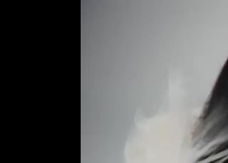 Tinashe - Too Easy (Mixshow)