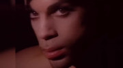 Prince - Pink Cashmere 