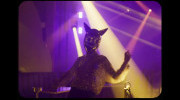 Galantis - Can't Take My Eyes Off You