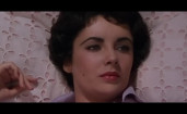 Taylor Swift - Everybody, Elizabeth Taylor (LYD Mashup Redo VM Edit Lya Video)