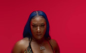 Megan Thee Stallion & Kurupt - We Can Freak Nasty (Ross Hogg Remix Dirty Lya Video Edit)