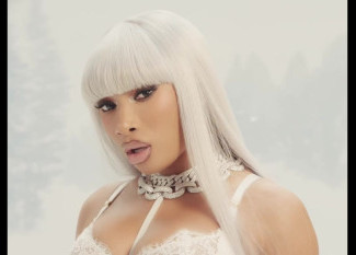 Megan Thee Stallion - Is You Cool (Freestyle) 