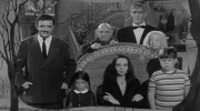 The Addam's Family vs Pitbull - Addam's Culo (Victor Menegaux Bootleg Lya Video Edit)