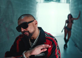 Sean Paul and Sommer Ray - DIP