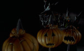 The Citizens Of Halloween - This Is Halloween (Trayze Hot In Herre Halloween Edit Lya Video)